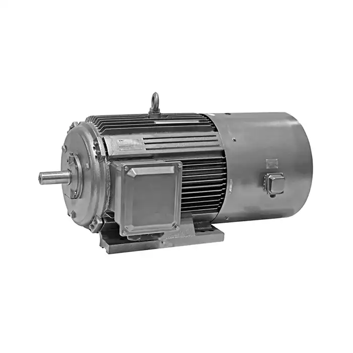 iec low voltage motors